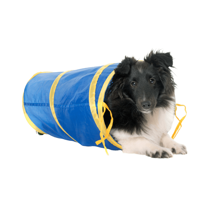 Shop Primary Image Shop Primary Image