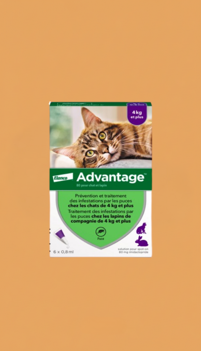 antiparasitaire chien chat Rennes pipette puces tiques