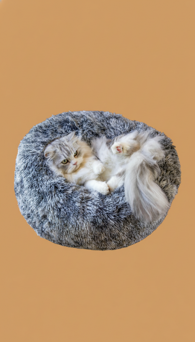 couchage chat Rennes panier chien chat
