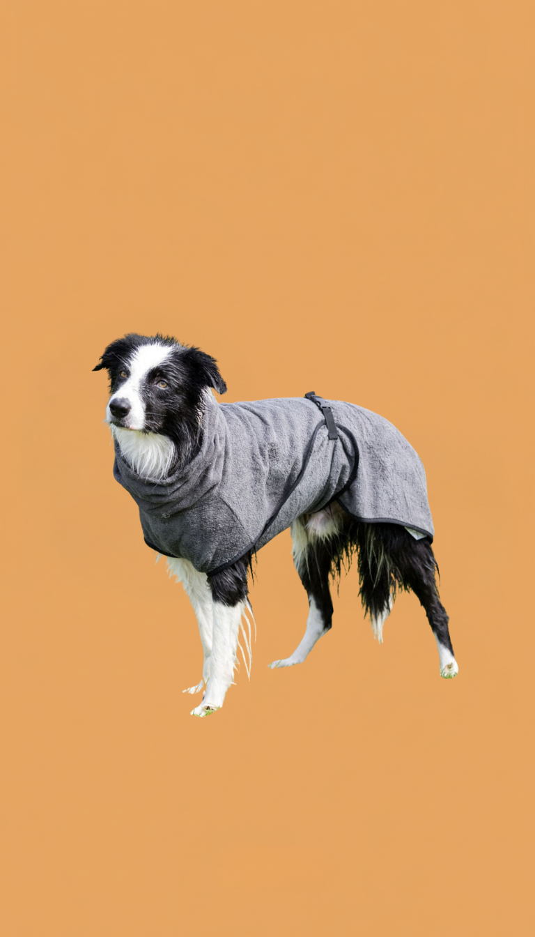 serviette chien chat Rennes toilettage bain